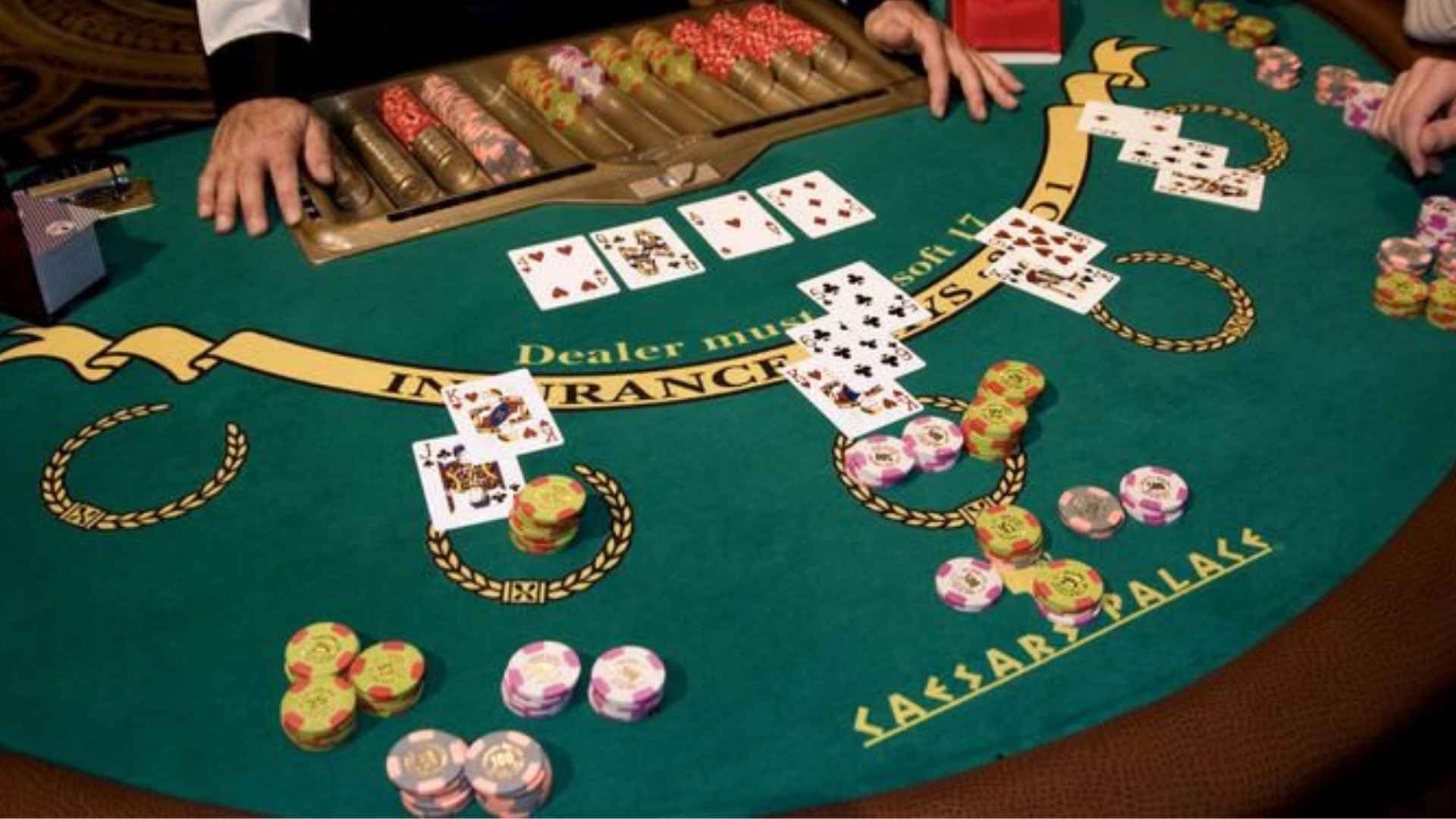 New Jersey Governor Betting Odds and Political Market Insights